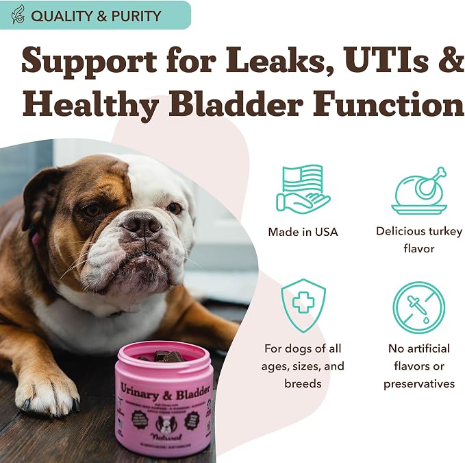 Urinary & Bladder