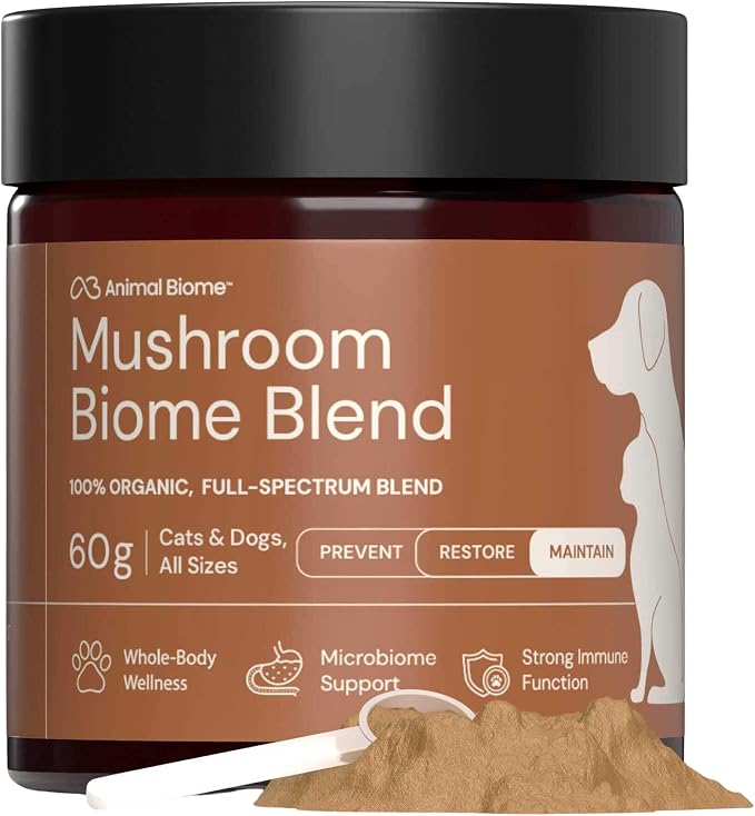 Mushroom