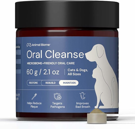 Dental