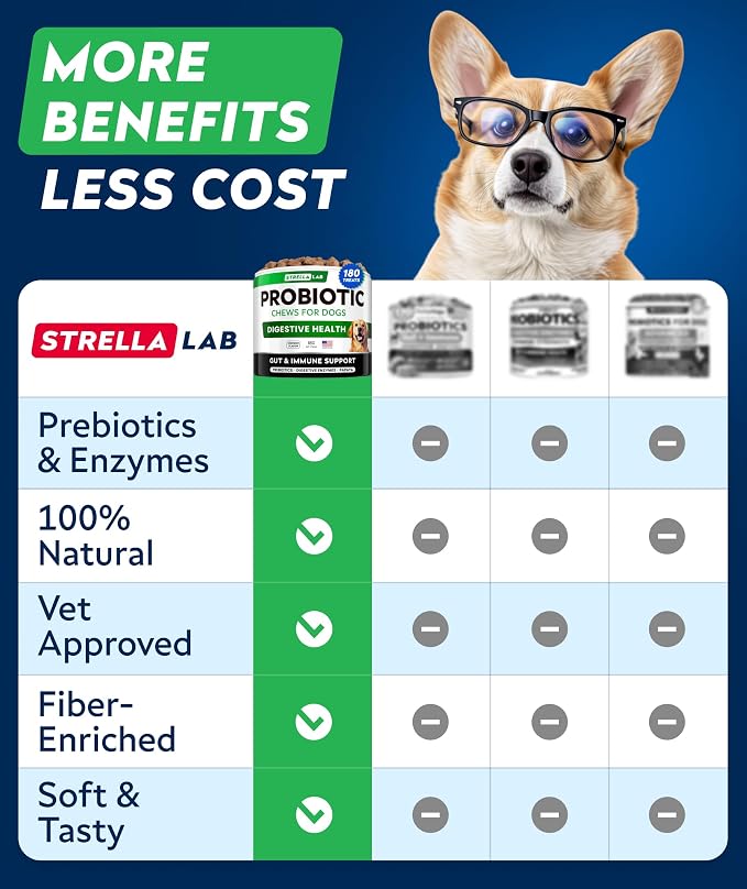 Probiotic Chews