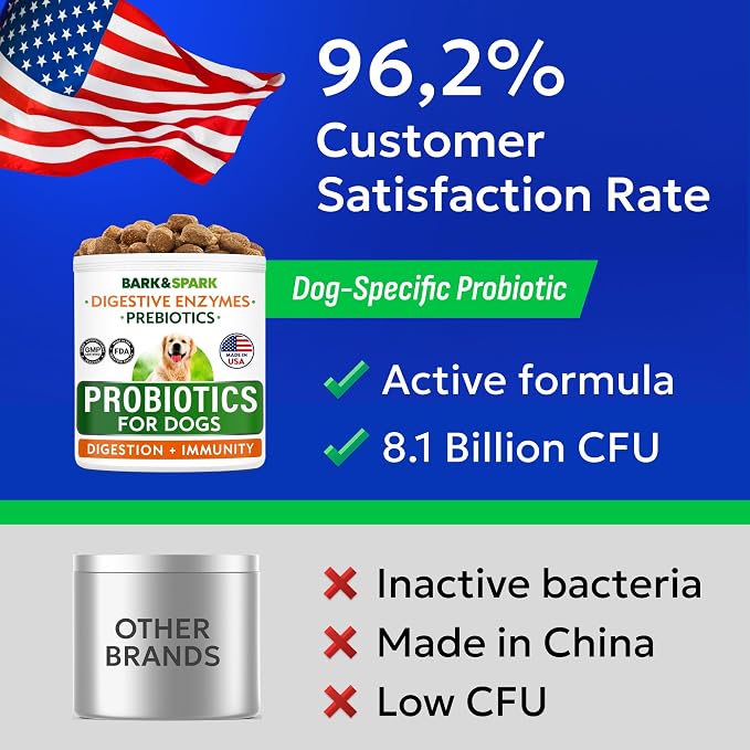 Probiotic Chews