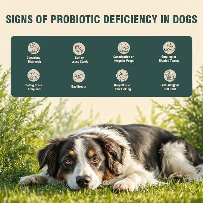 Probiotic