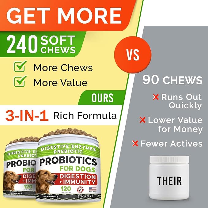 Probiotic Chews