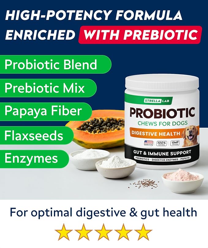 Probiotic Chews