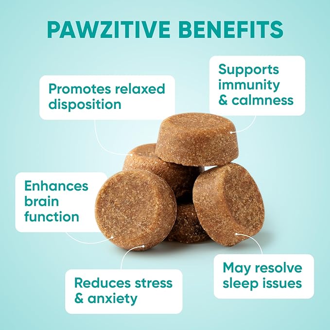 Calming Chews