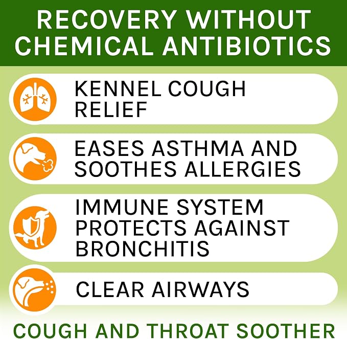 Kennel Cough