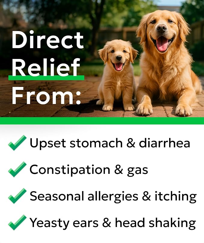 Probiotic Chews