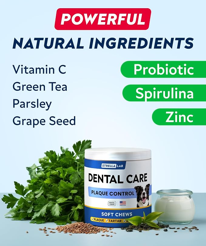 Dental Care Probiotic