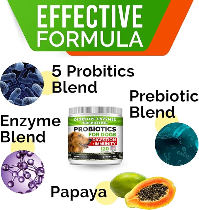 Probiotic Chews