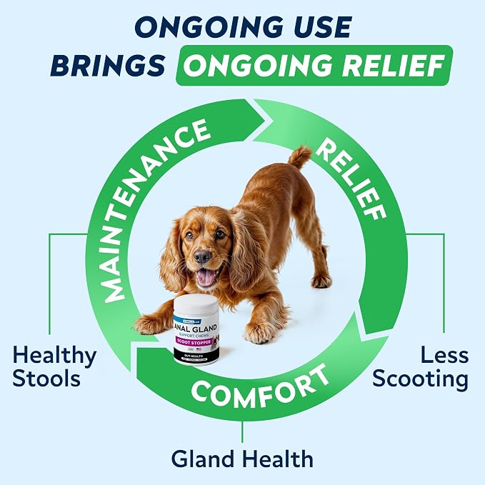 Anal Gland Support