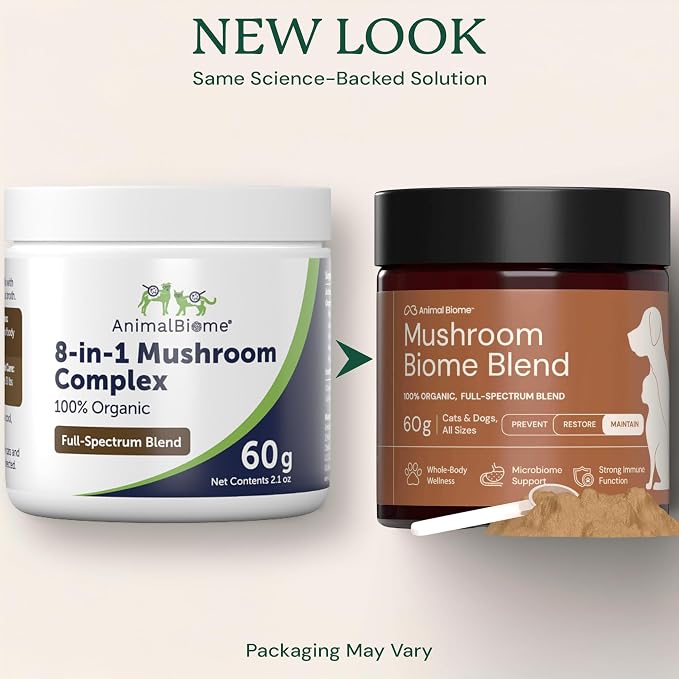 Mushroom