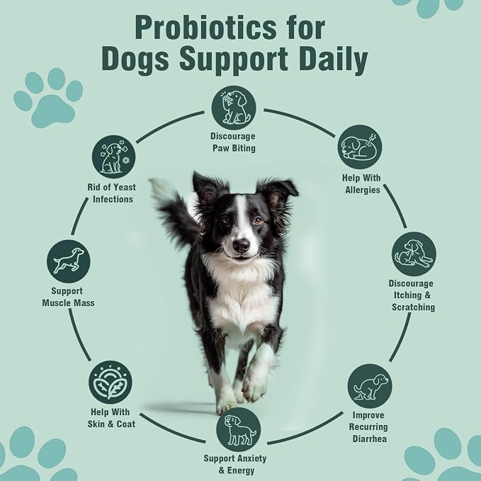 Probiotic
