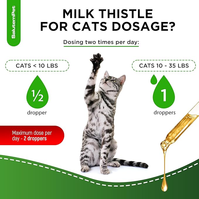 Milk Thistle for Cats