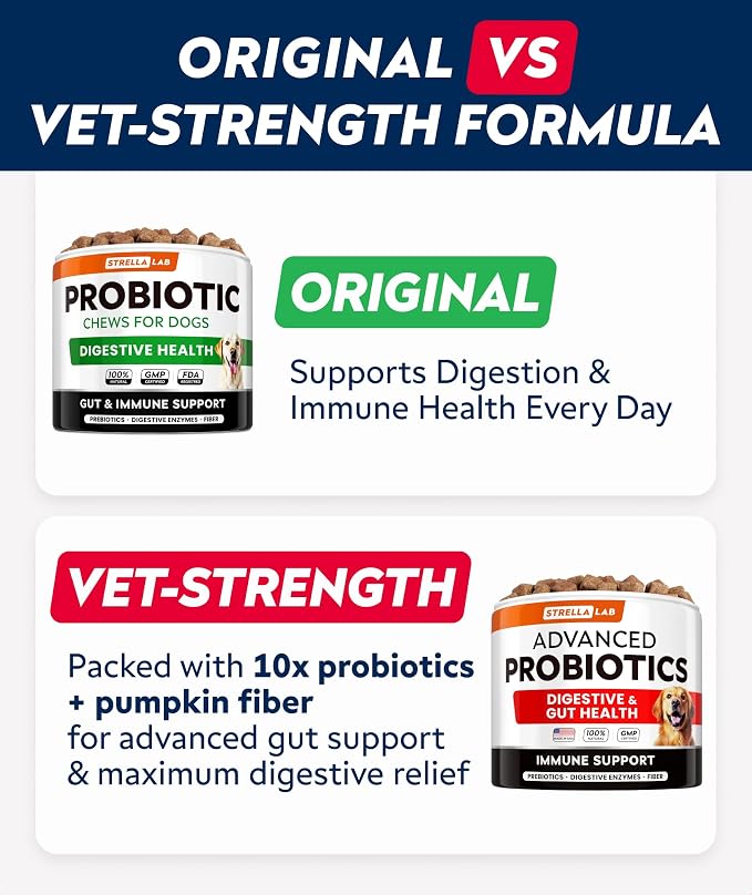 Probiotic Chews