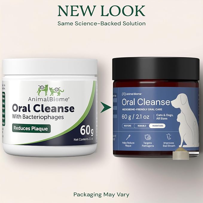 Dental
