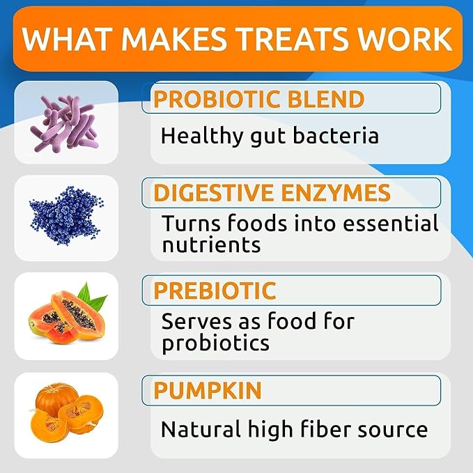Probiotic Chews