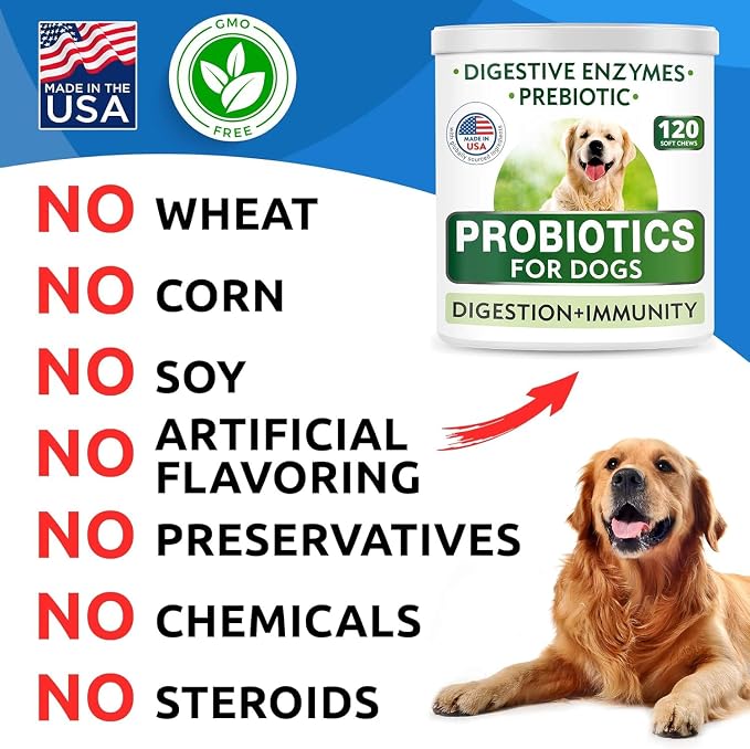 Probiotic Chews