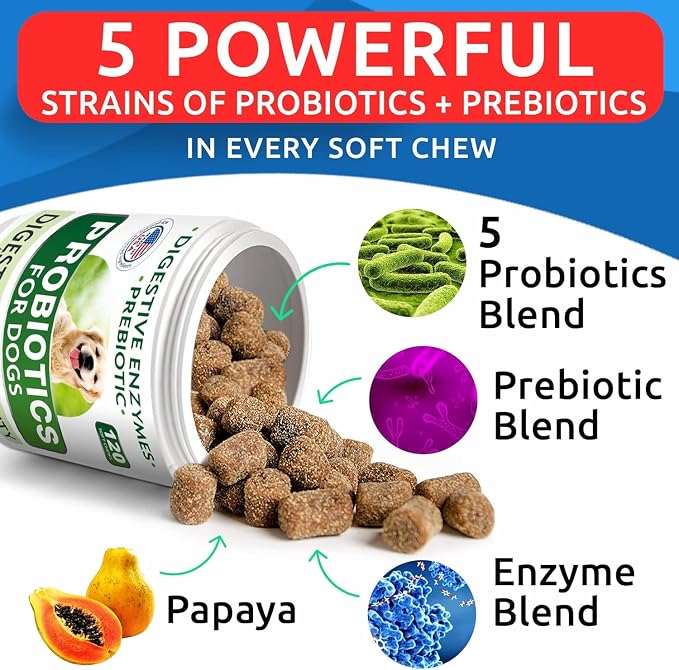 Probiotic Chews