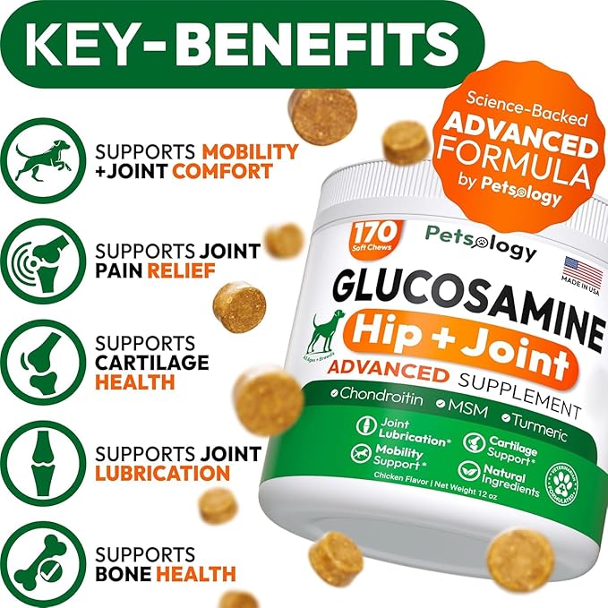Glucosamine Chews