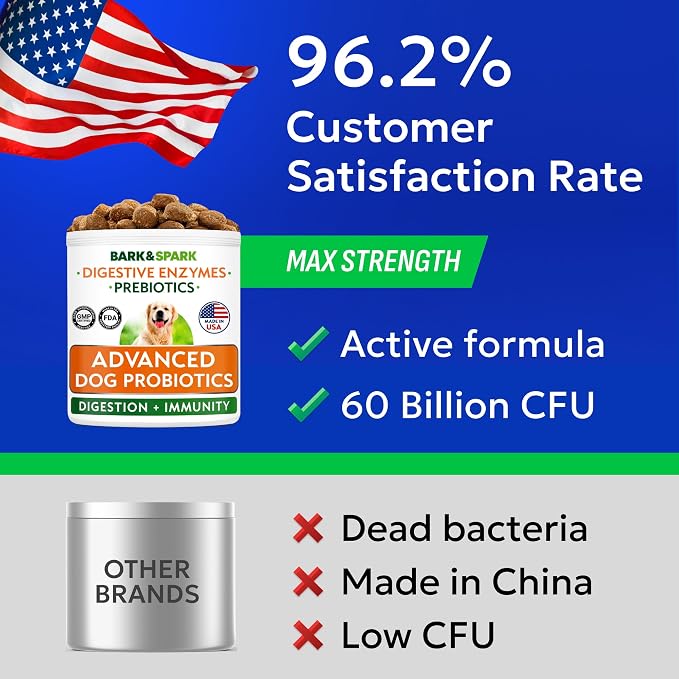 Probiotic Chews