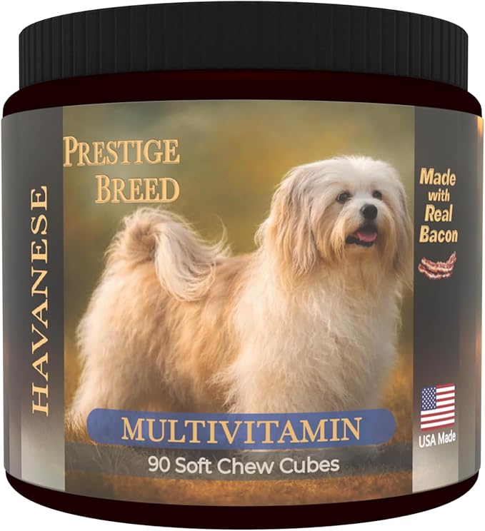 Havanese