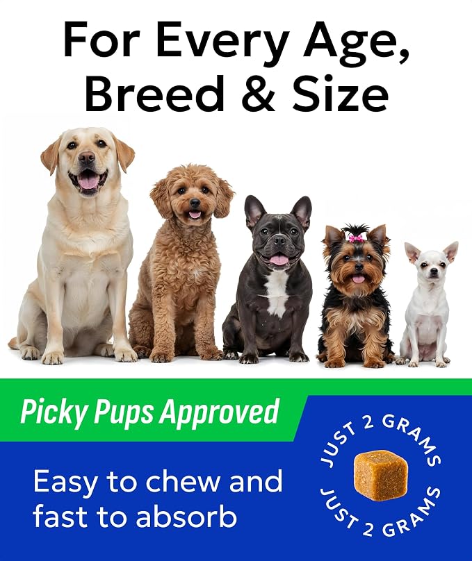 Probiotic Chews