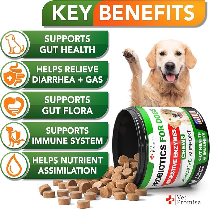 Probiotics (2 Pack)