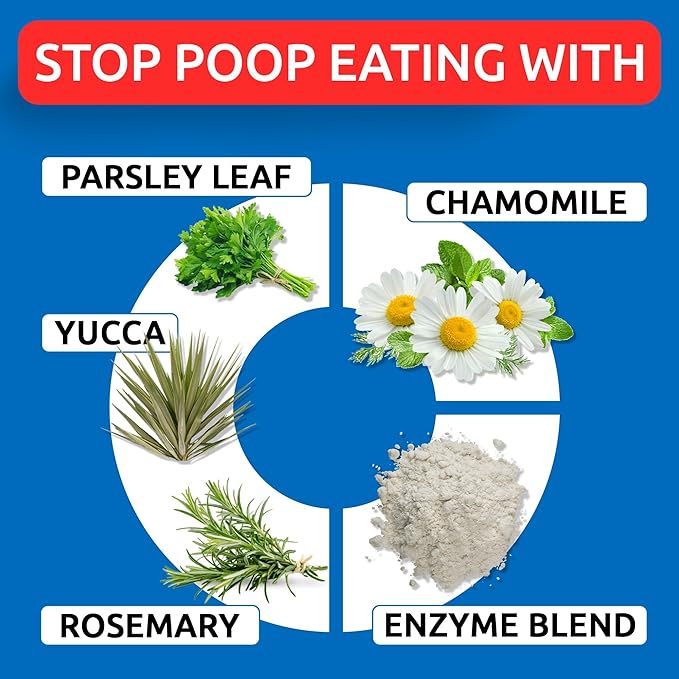 No Poo Chews