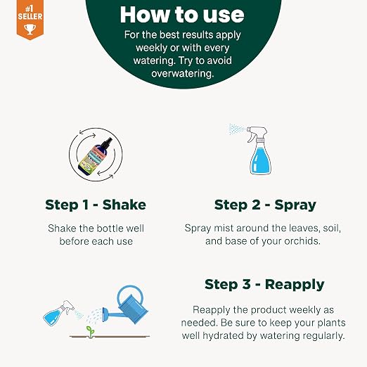 DRACAENA Plants