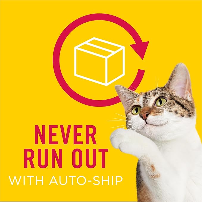 __DEFAULT__