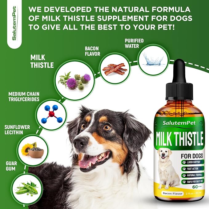 Milk Thistle for Dogs