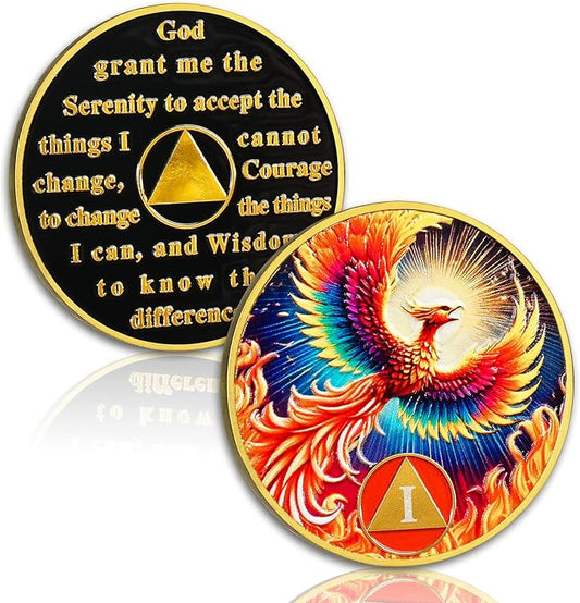 1 Year Sober