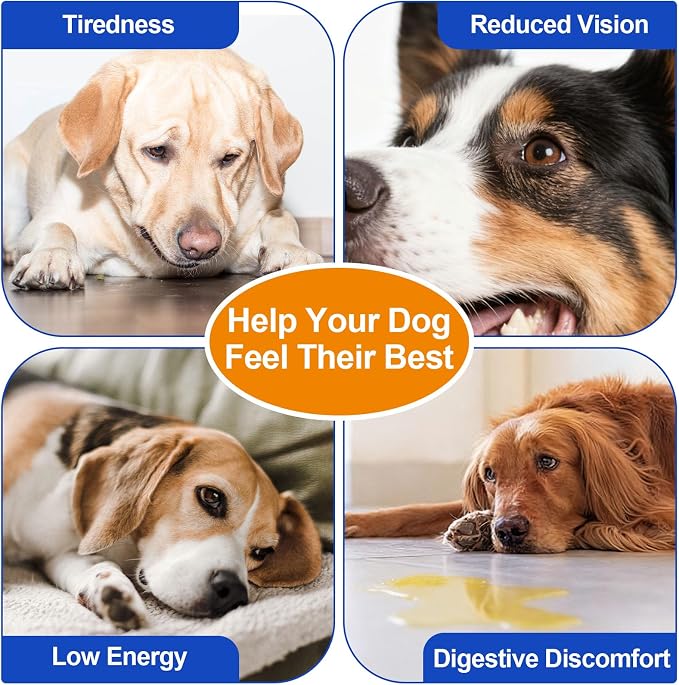 Taurine for Dogs