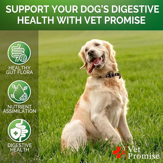 Probiotics (2 Pack)