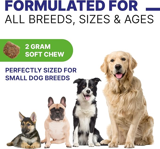 Probiotics Chews