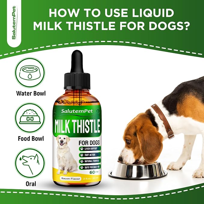 Milk Thistle for Dogs