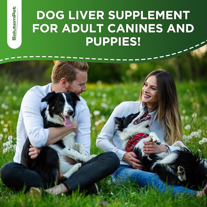 Milk Thistle for Dogs