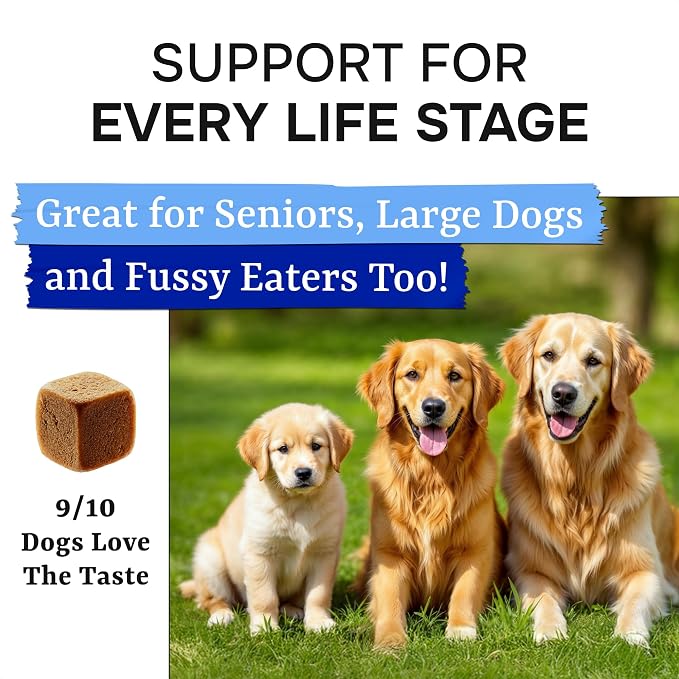 Probiotics Chews