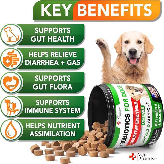 Dog Probiotics