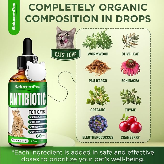 Herbal Antibiotic for Cats