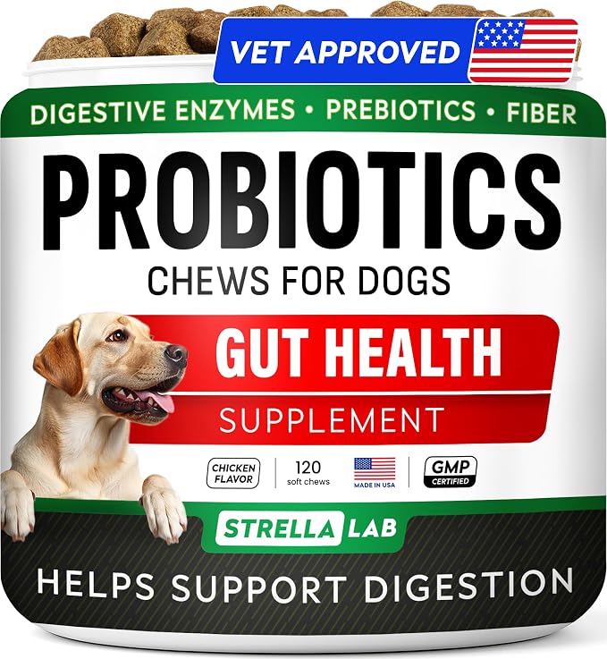 Probiotic Chews