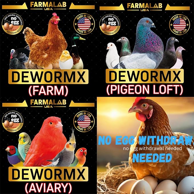 __DEFAULT__