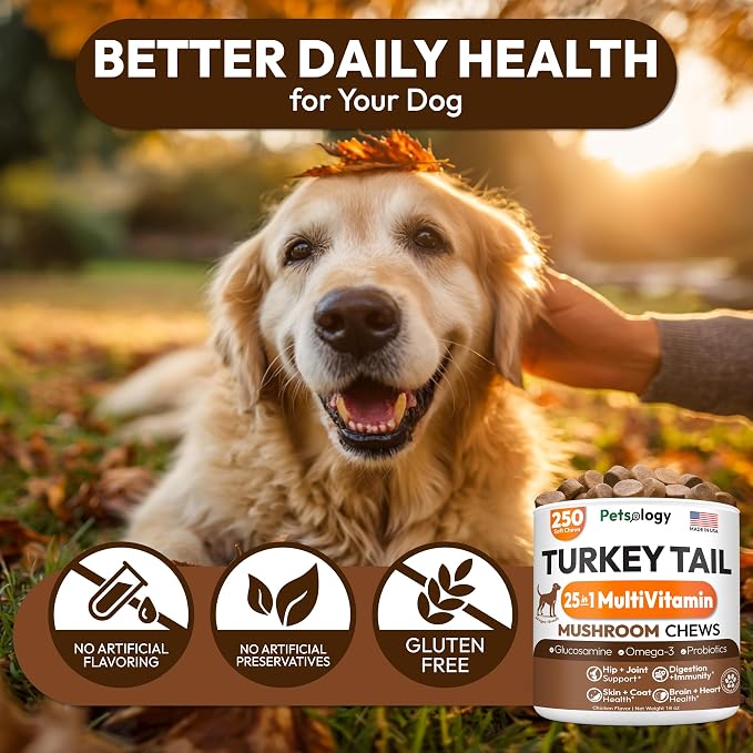 Multivitamin