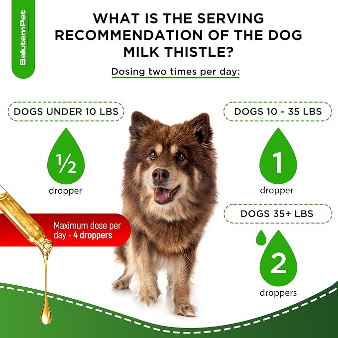 Milk Thistle for Dogs