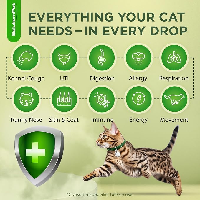 Herbal Antibiotic for Cats