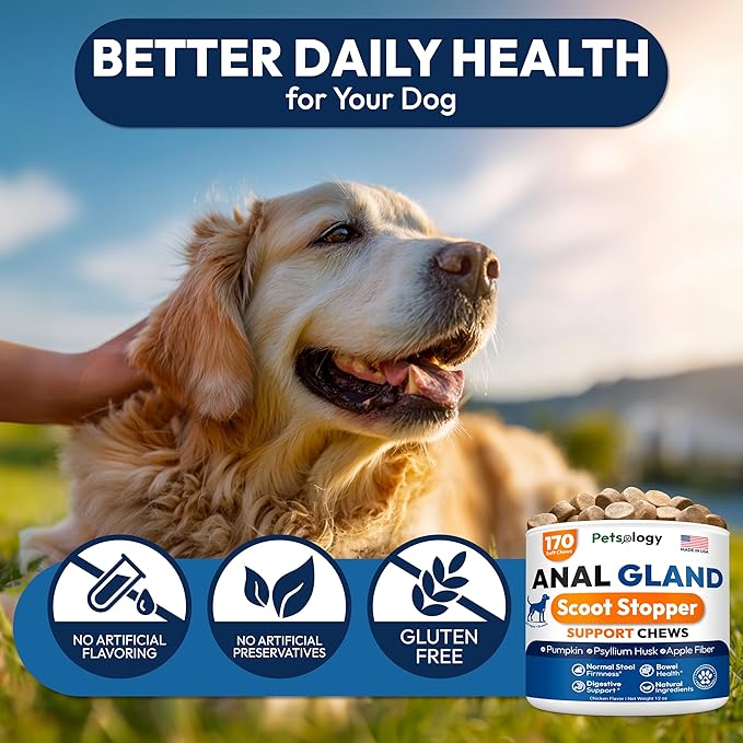 Anal Gland Support