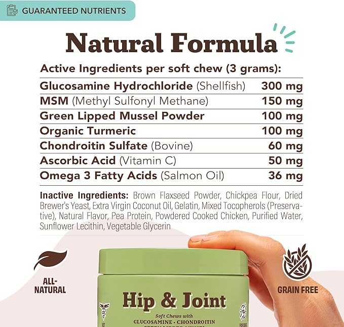 Hip and Joint