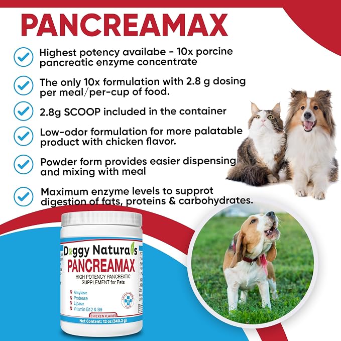 10x Porcine Pancreatin