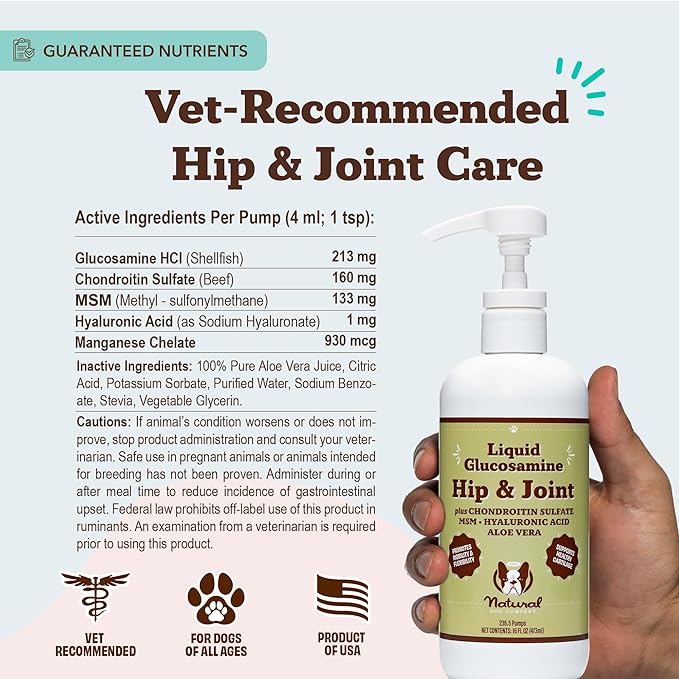 Hip and Joint