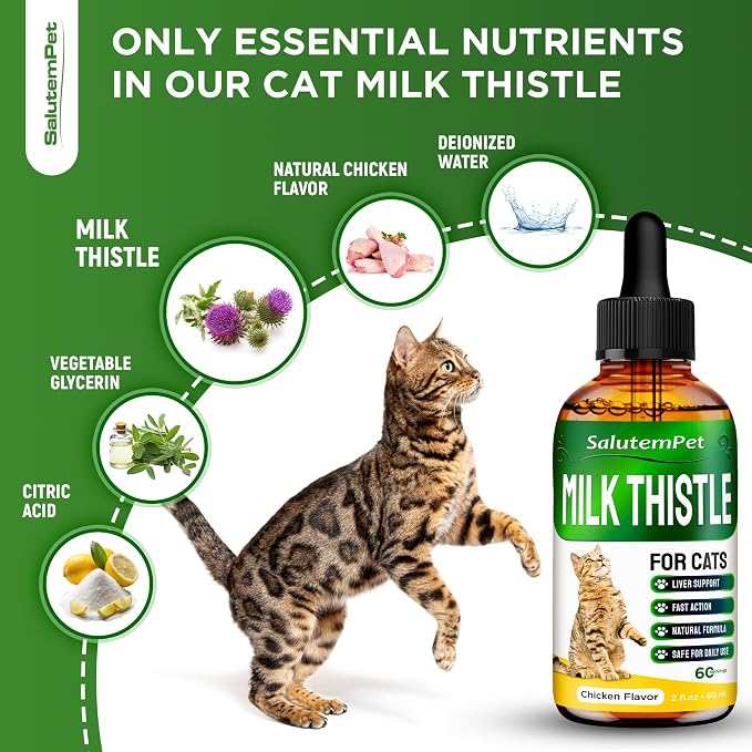 Milk Thistle for Cats